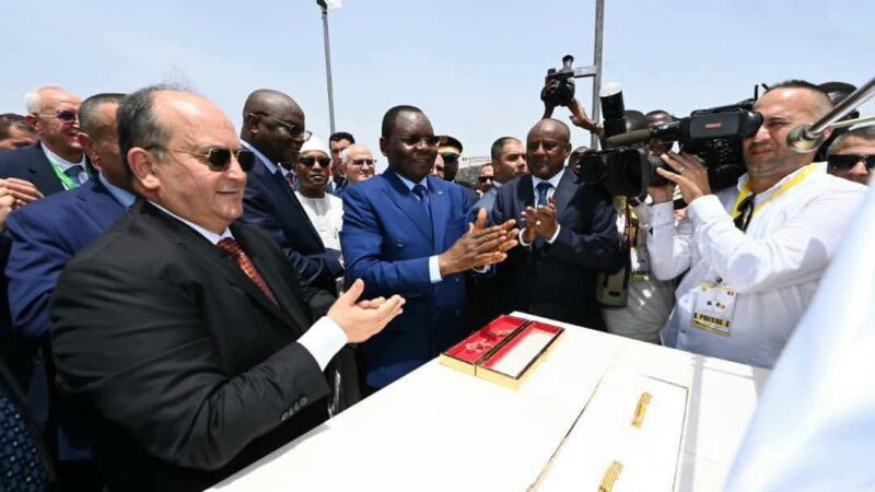 Algeria invests in new 40 MW power plant in Chad