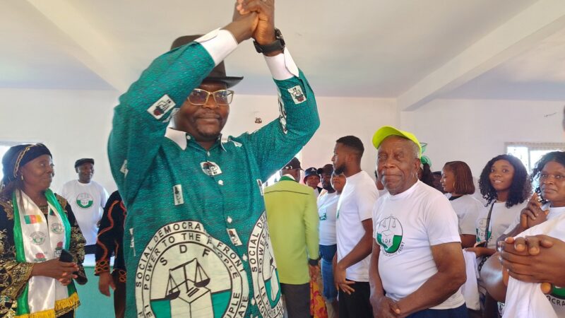 Cameroun sdf names louis marie kakdeu to lead electoral prep commission