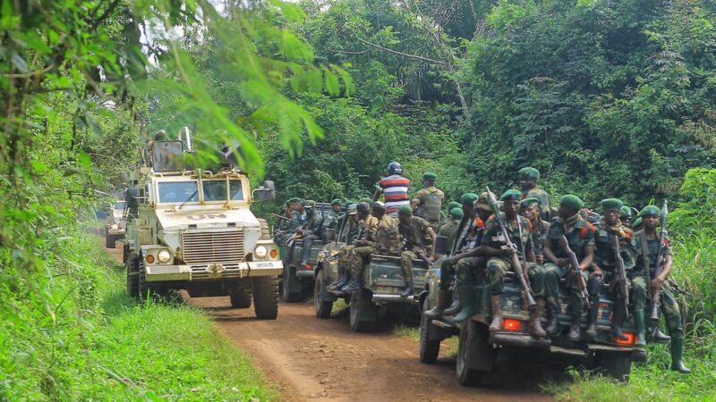 Over 300 civilians killed by ADF rebels in DRC this year