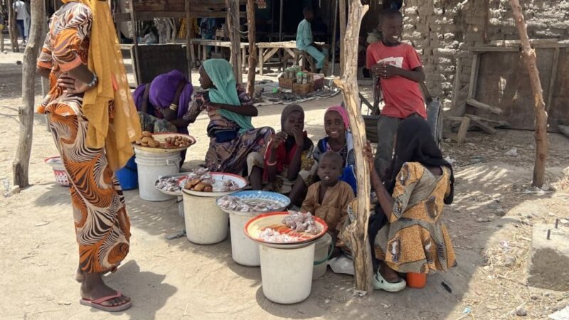 Hundreds freed by Boko Haram in Nigeria