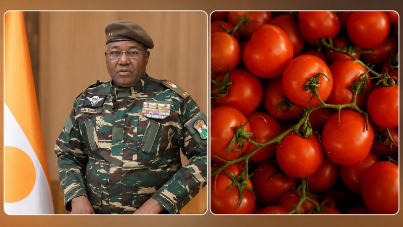 Niger’s tomato industry reveals hollow economic sovereignty claims