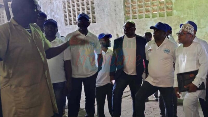 Cameroon cocoa quality boosted with new verifier training