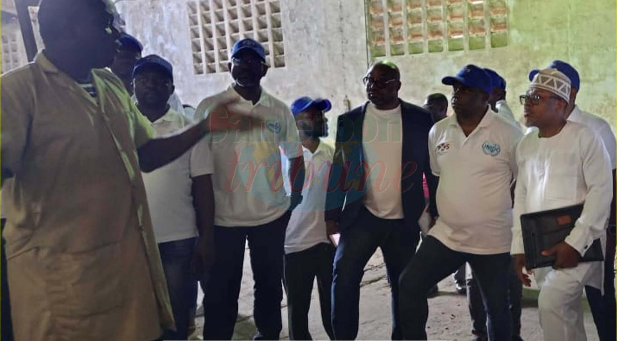 Cameroon cocoa quality boosted with new verifier training