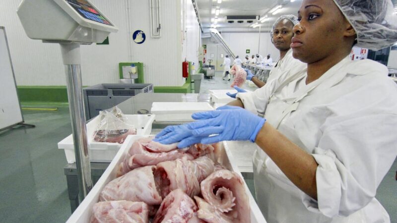 Gabon ends its fishing agreement with the European Union