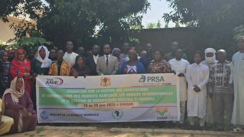 Chad strengthens agricultural export capabilities for global markets