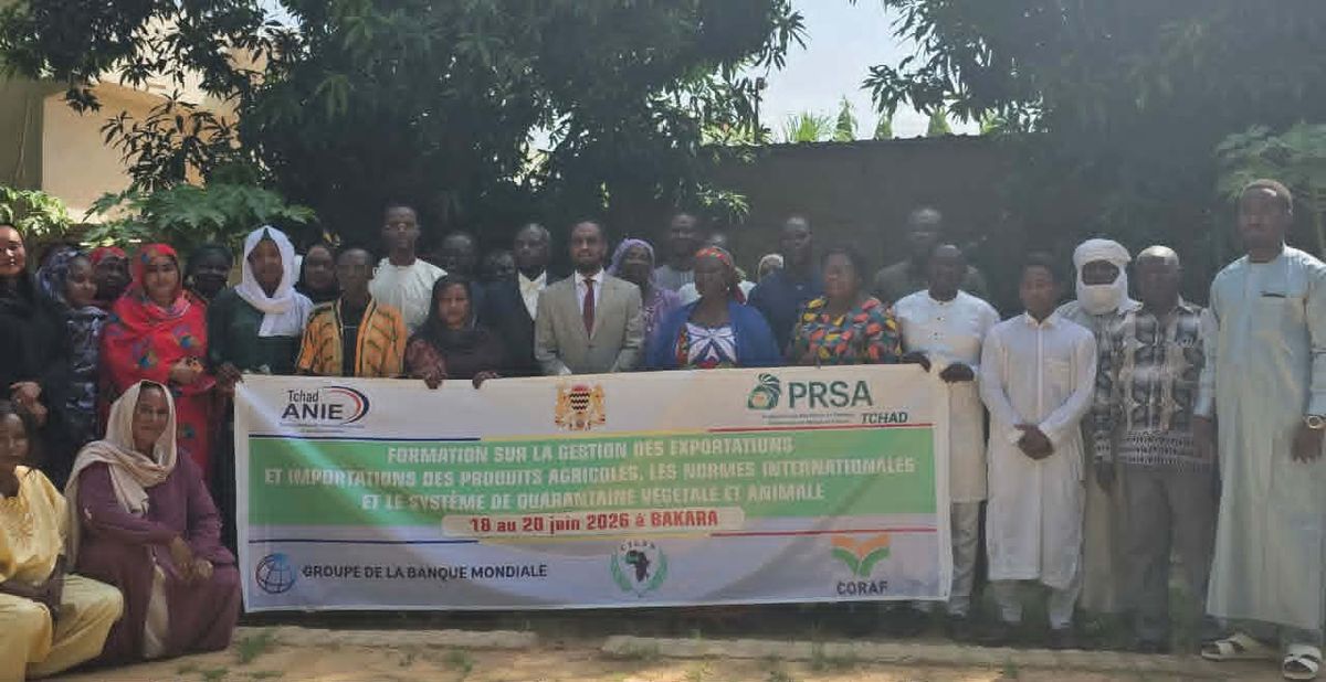 Chad strengthens agricultural export capabilities for global markets