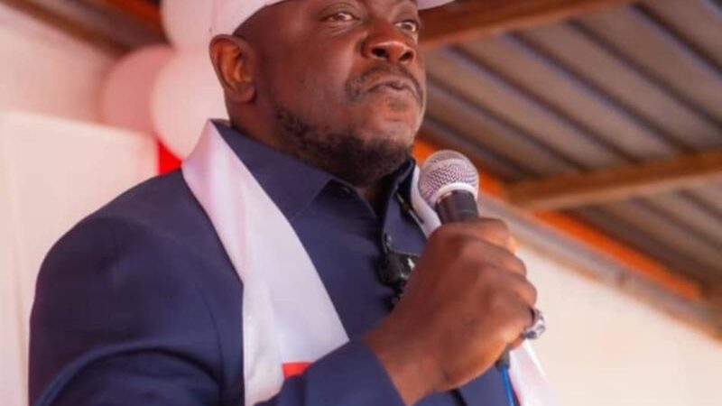 Apec advocates for constitutional reform in drc to meet national realities