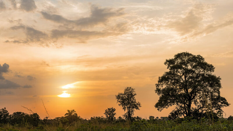 Côte d’Ivoire introduces carbon tax to propel energy transition