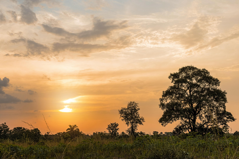 Côte d’Ivoire introduces carbon tax to propel energy transition