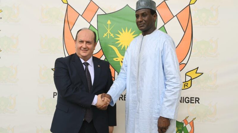 Algeria-Niger ties strengthen with new power plant project milestone