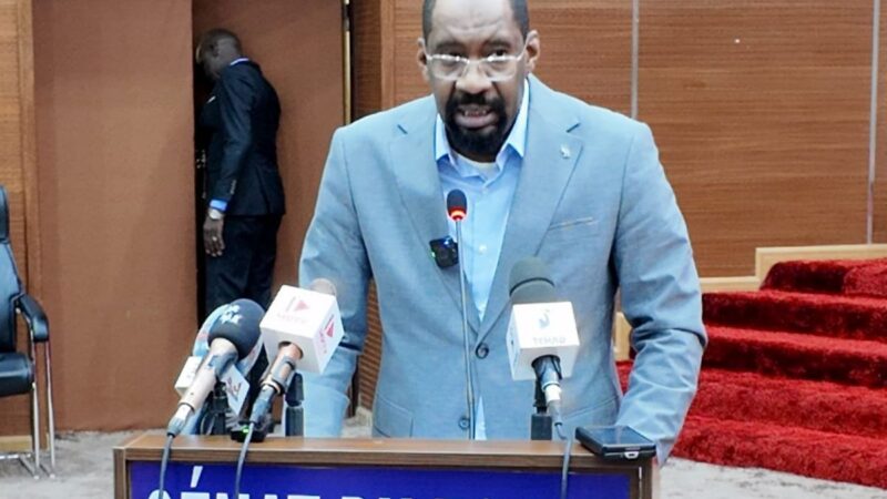Chad’s security minister addresses senators on persistent insecurity and community conflicts