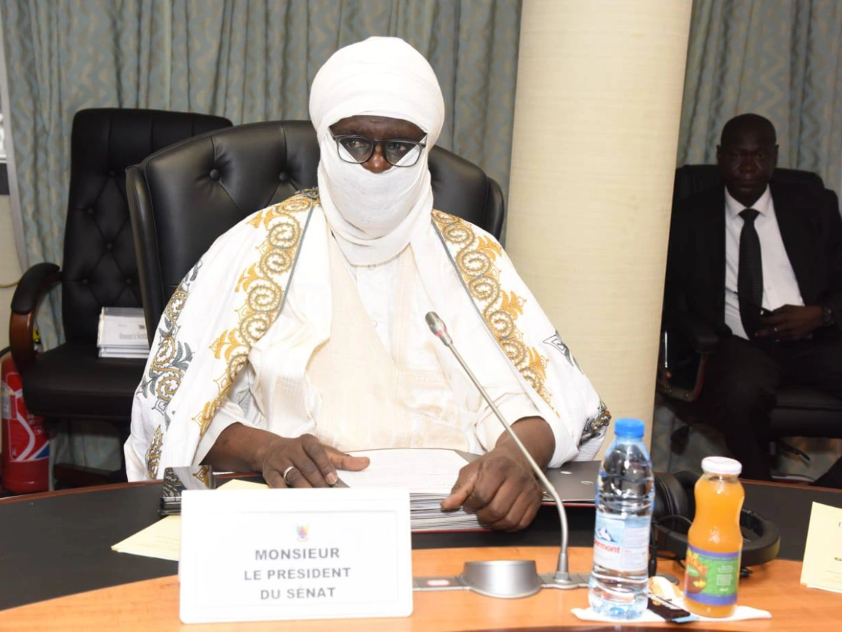 Cameroon senate president demands tougher action against sexual violence and feminicides