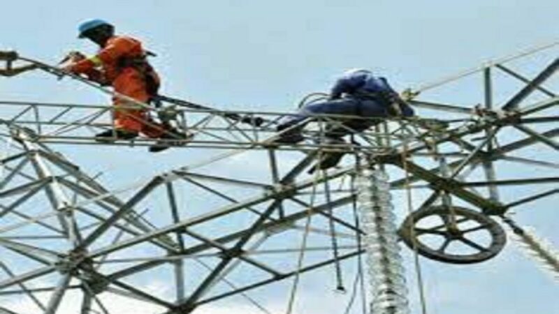 Cameroun to adopt public-private energy transport partnerships