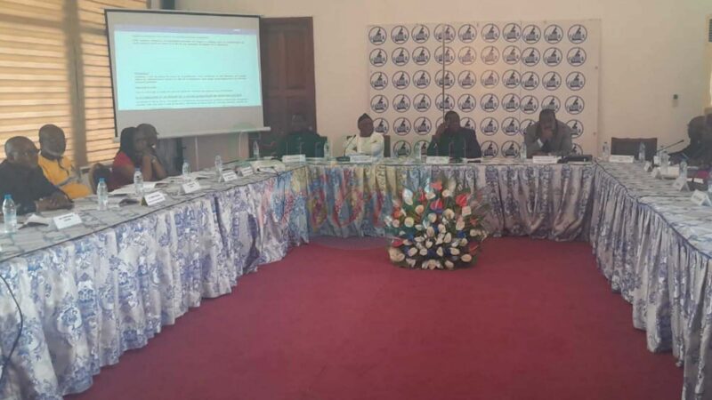 Cameroon private sector seeks influence over 2027 budget decisions
