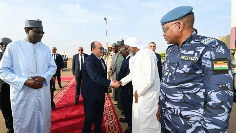 Niger prime minister attends inauguration of solidarity power plant