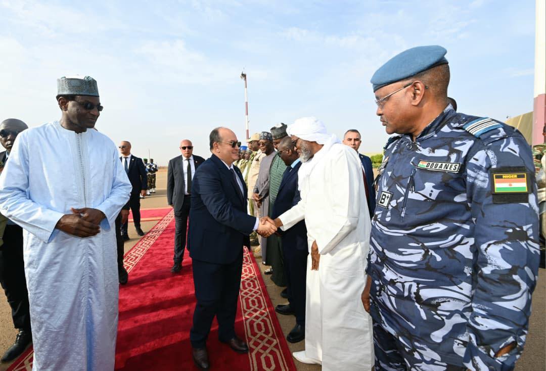 Niger prime minister attends inauguration of solidarity power plant