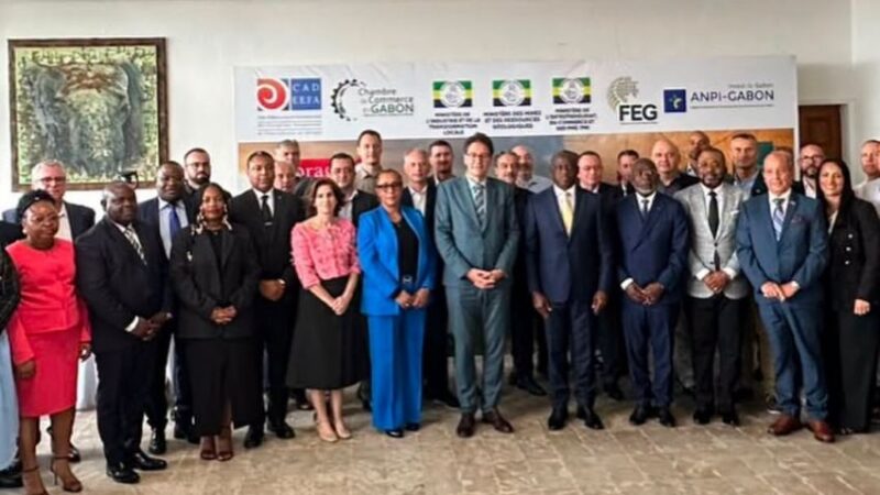Gabon aims to convert natural wealth into industrial might