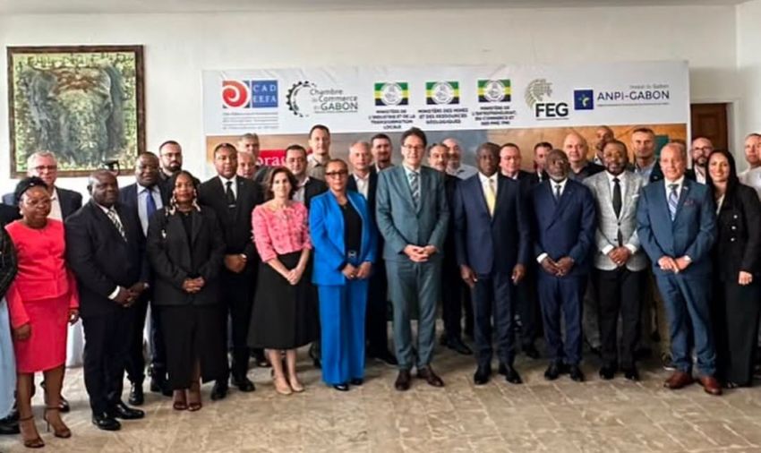 Gabon aims to convert natural wealth into industrial might