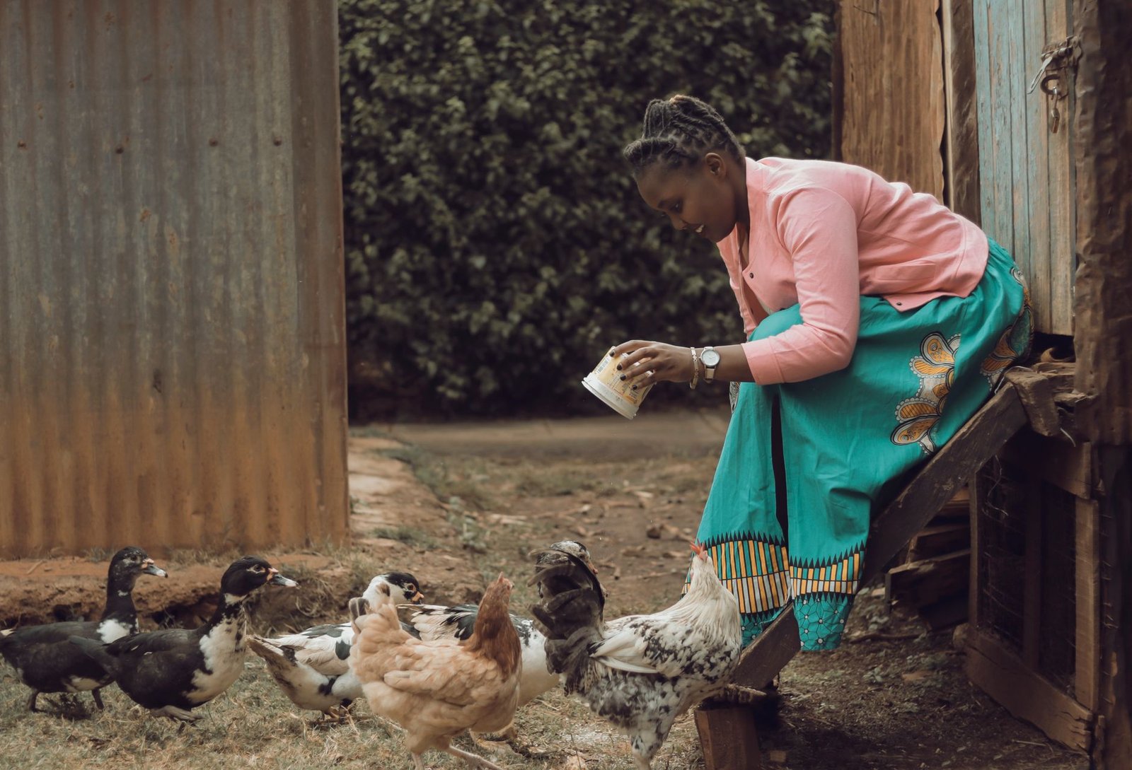 SONOCO’s ambitious plan for Gabon’s poultry sector