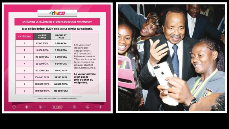 Digital inclusion hindered by mobile phone taxes in Cameroon