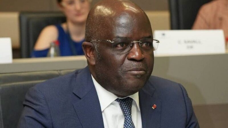 Gabon puts local processing at the heart of its economic strategy