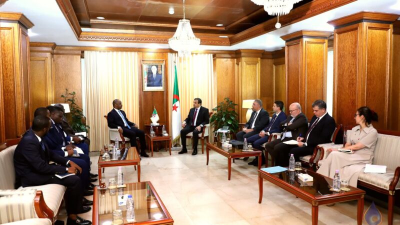 Chad and Algeria advance energy sector collaboration