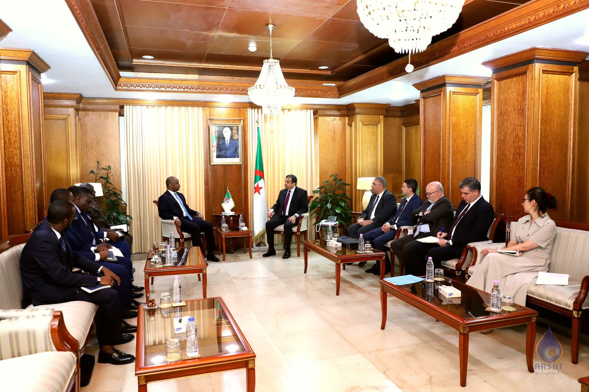Chad and Algeria advance energy sector collaboration