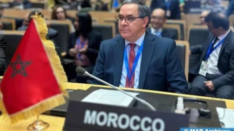 Morocco prioritizes humanitarian aid in African cooperation at au peace council