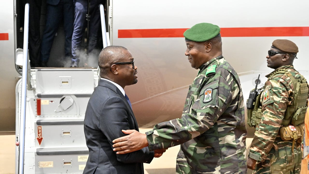 Benin Niger leaders agree to reopen border after talks