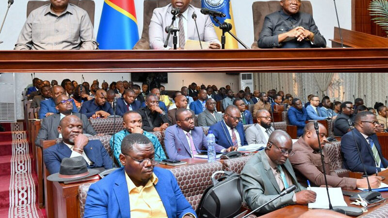 Igf launches massive audit of the mining sector in the drc