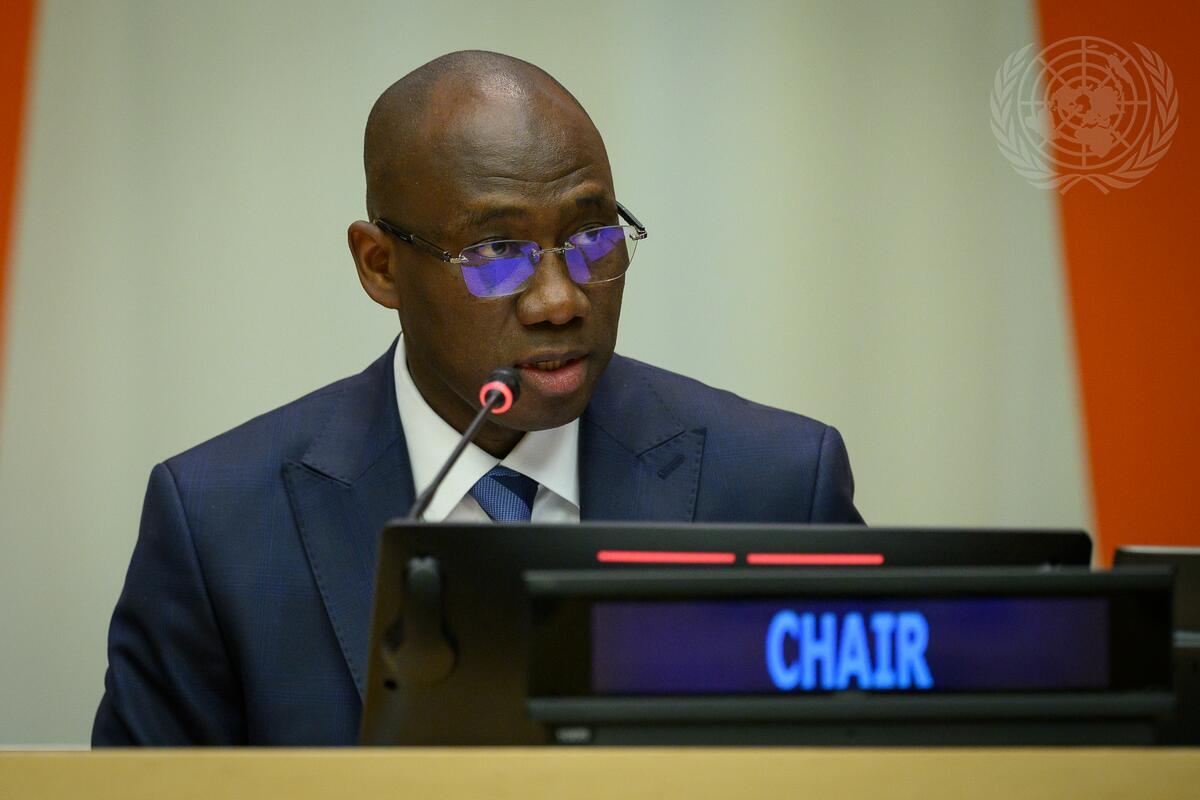 Senegalese diplomat coly seck elected to lead un’s fourth committee