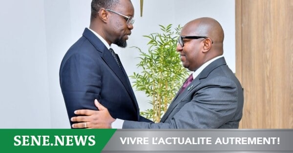 Senegalese parliament chief meets african parliamentary union leader