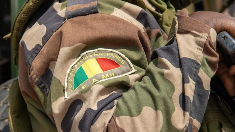 Mali: french diplomat handed 20-year prison sentence for undermining state security