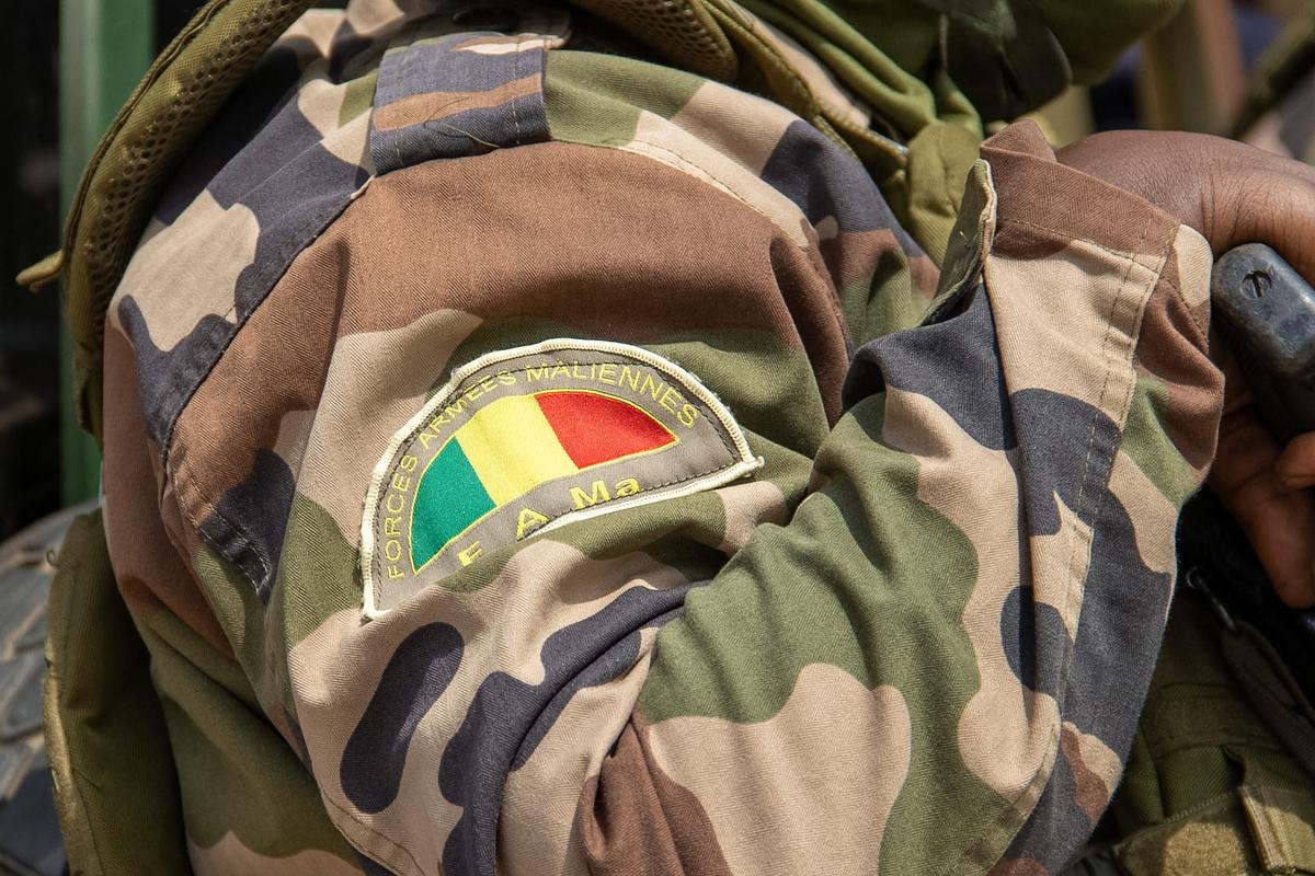 Mali: french diplomat handed 20-year prison sentence for undermining state security