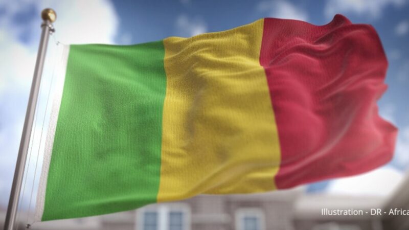 Mali: french intelligence agent receives 20-year prison sentence