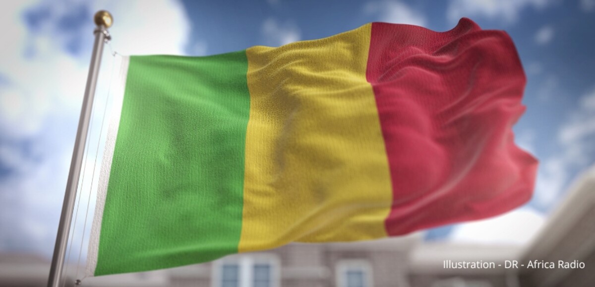 Mali: french intelligence agent receives 20-year prison sentence