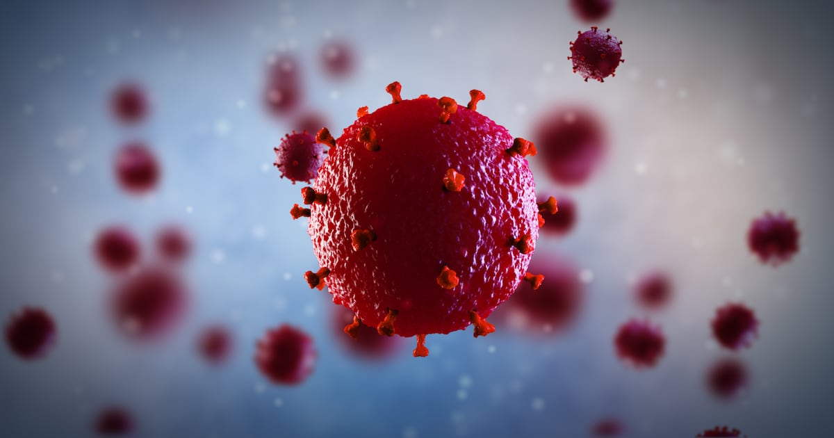 Hiv testing shortages in Morocco reveal flaws in public procurement