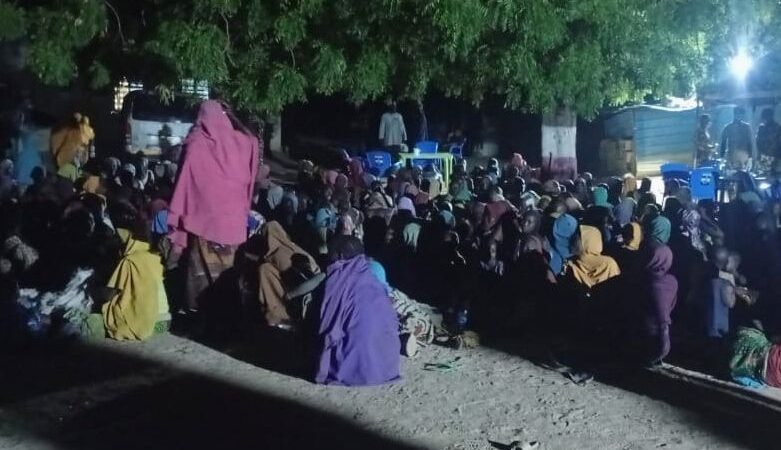 Hundreds of boko haram captives freed in Nigeria but details remain murky
