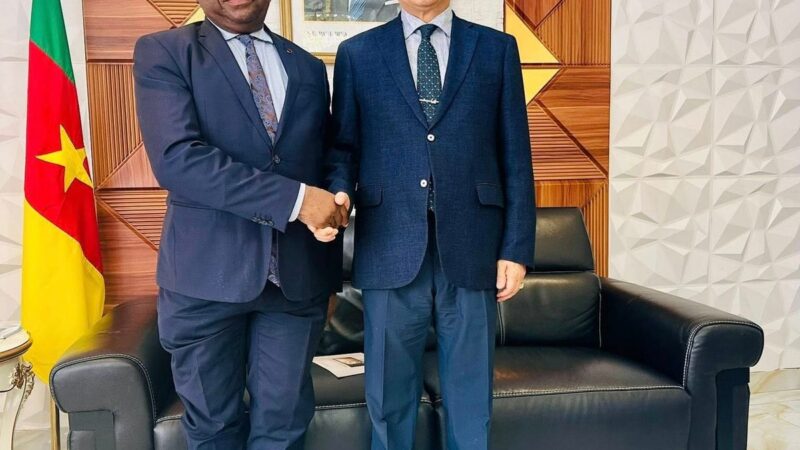 Cameroon eyes strategic partnership with South Korean industrialist