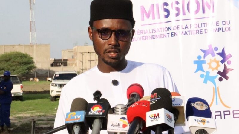 Tchad: empowering 200 youth with green jobs in N’Djamena