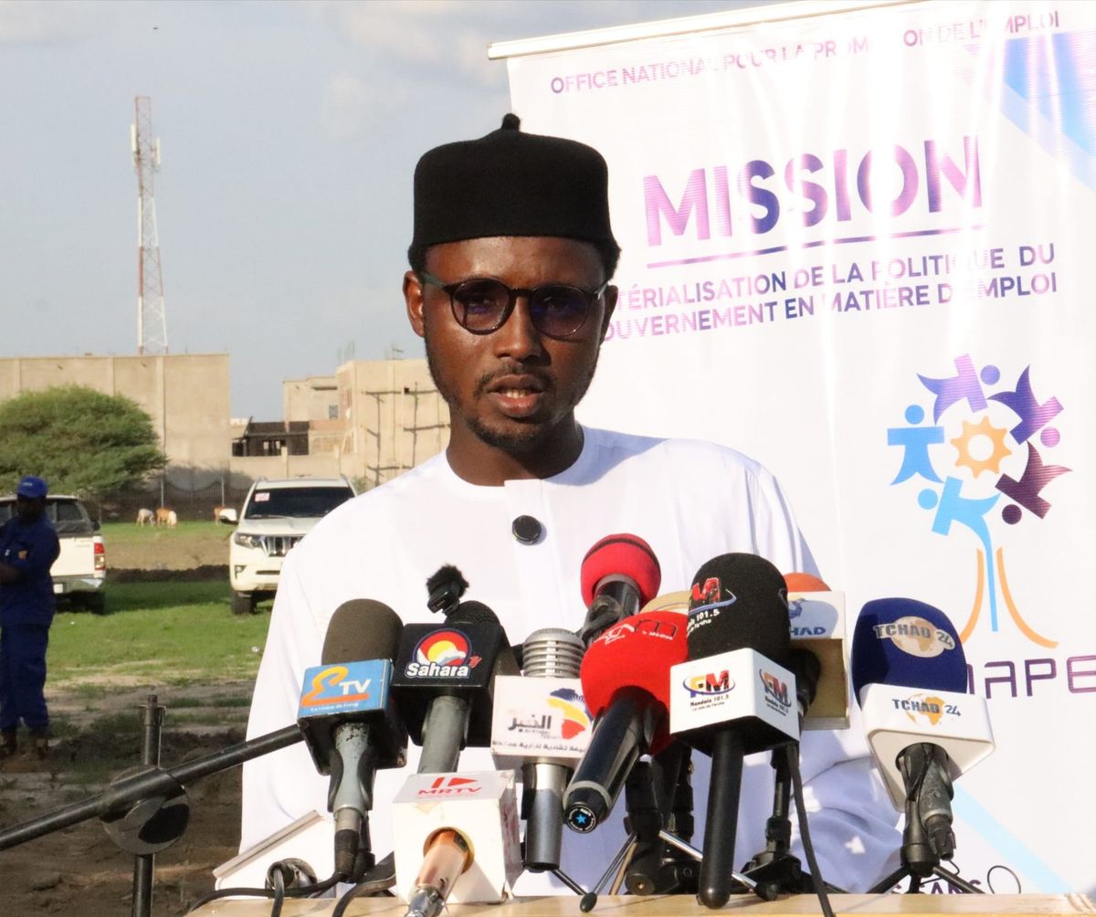 Tchad: empowering 200 youth with green jobs in N’Djamena