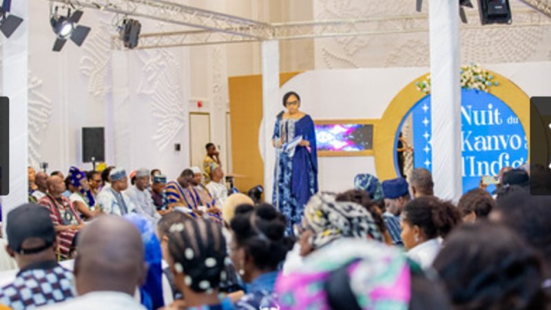 Benin’s bold leap: transforming kanvo and indigo into global textile powerhouses