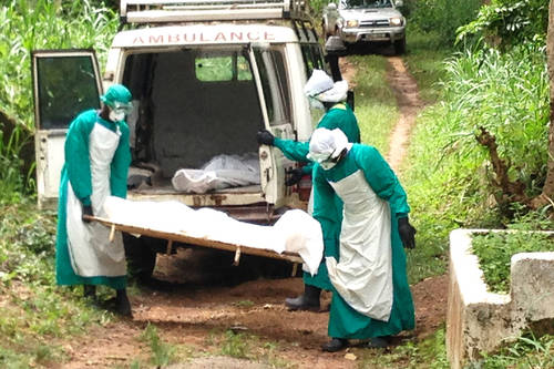DRC Ebola Outbreak: Over 500 Dead as Virus Spreads Across Eastern Congo