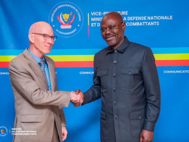 Monusco stands ready to back ceasefire monitoring in eastern drc