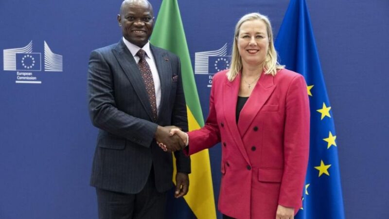 Gabon ends long-standing fishing agreement with the European Union