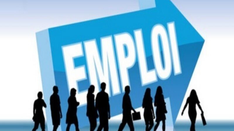 Togo’s Job Market Shifts: The Top 3 Skills in Demand for 2026