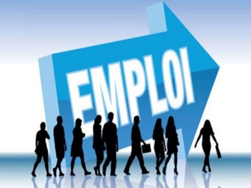 Togo’s Job Market Shifts: The Top 3 Skills in Demand for 2026