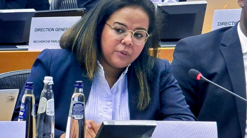 Drc champions responsible natural resource governance at un security council