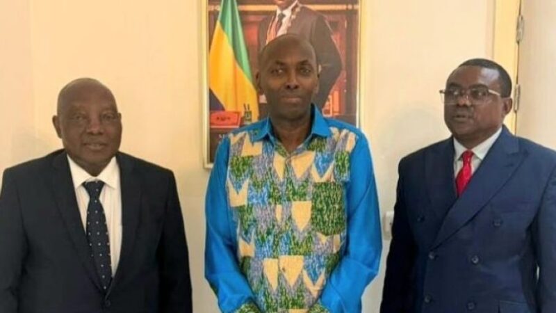 Gabon steps up fight against illicit financial flows with enhanced controls
