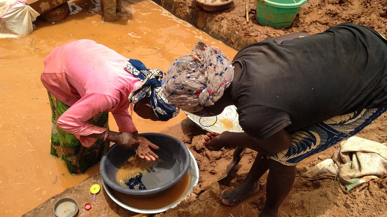 Cameroon’s phantom gold: billions bypassing the state